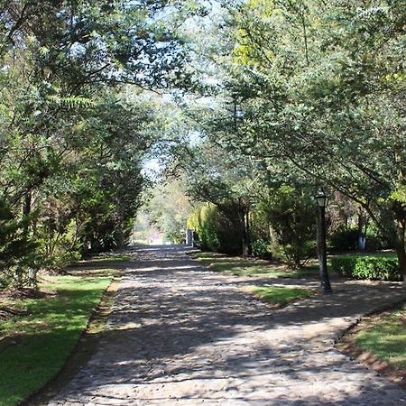 Rancho San Antonio Huasca de Ocampo Bagian luar foto