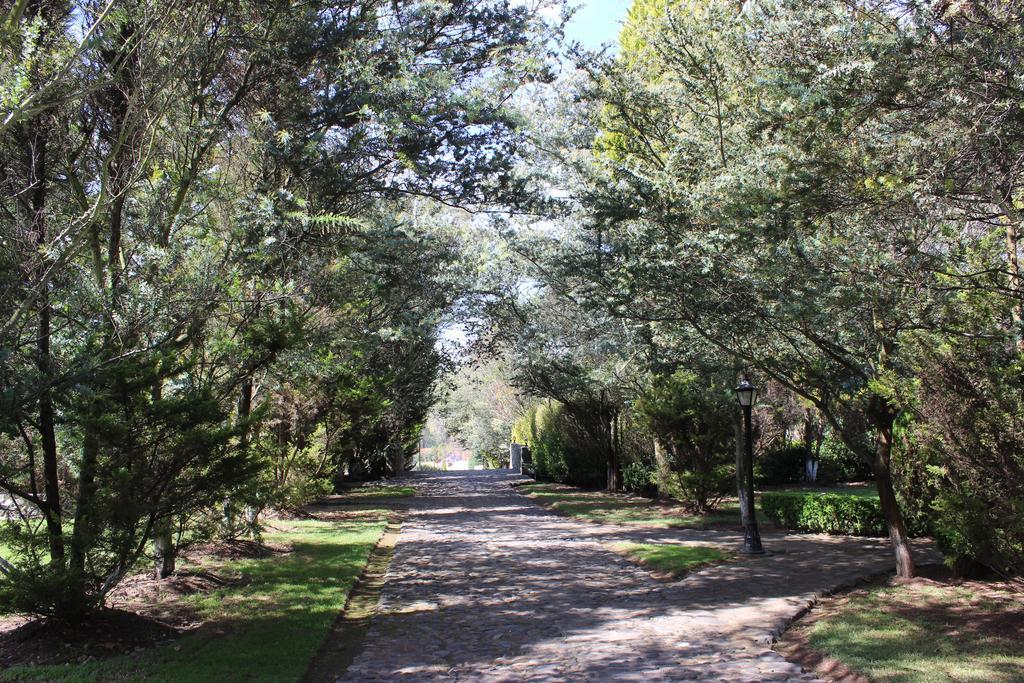 Rancho San Antonio Huasca de Ocampo Bagian luar foto
