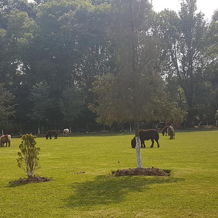 Rancho San Antonio Huasca de Ocampo Bagian luar foto