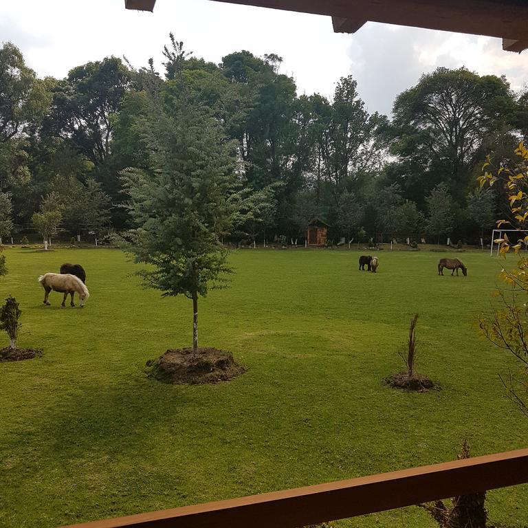 Rancho San Antonio Huasca de Ocampo Bagian luar foto
