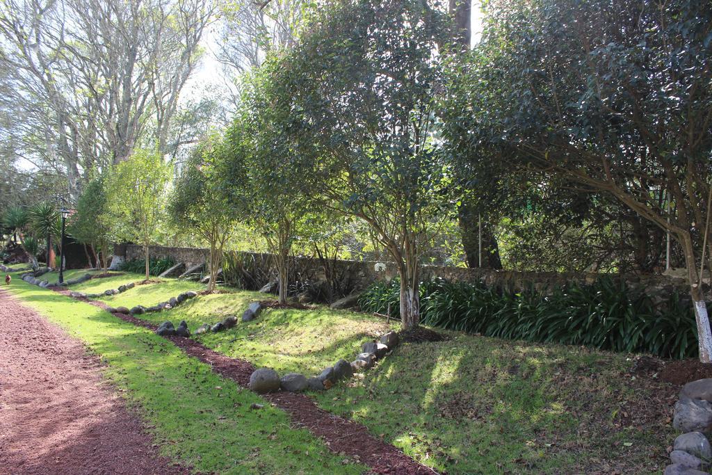 Rancho San Antonio Huasca de Ocampo Bagian luar foto